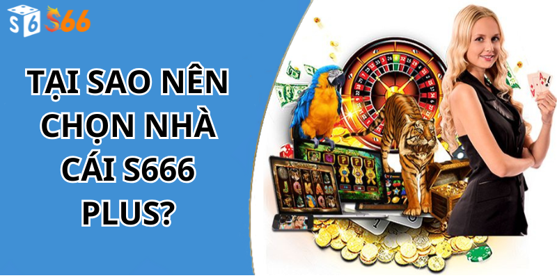 Tại sao nên chọn nhà cái s666 plus?