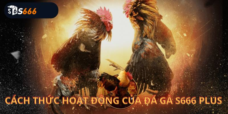 Cách thức hoạt động của đá gà s666 plus